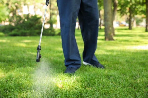 Myrtle Beach Lawn Treatment