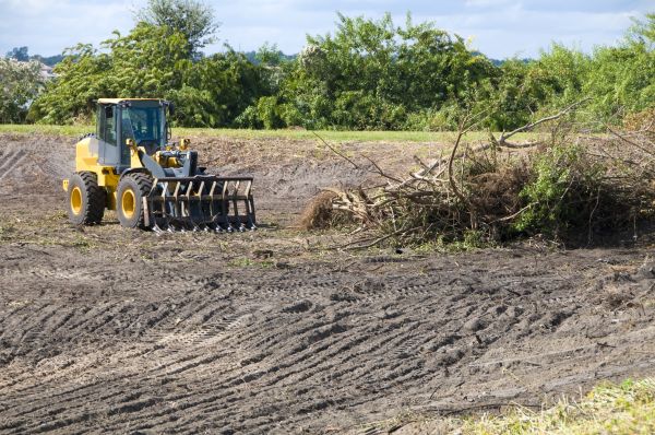 Myrtle Beach Land Clearing